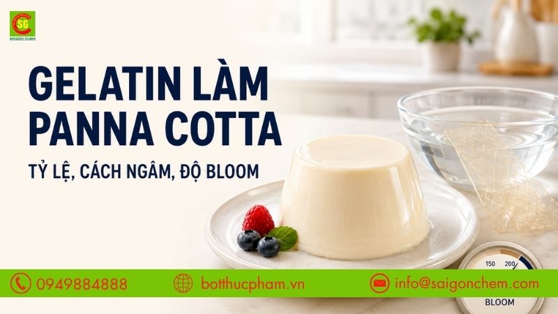 Gelatin Làm Panna Cotta: Tỷ Lệ Chuẩn, Cách Ngâm Và Độ Bloom Phù Hợp